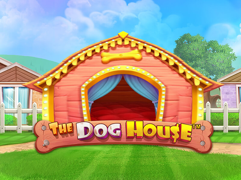 8855betcassino The Dog House